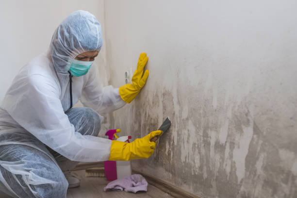 Best Residential Mold Inspection & Testing  in Beverly, OH