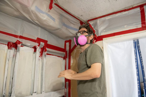 Best Attic Mold Removal  in Beverly, OH