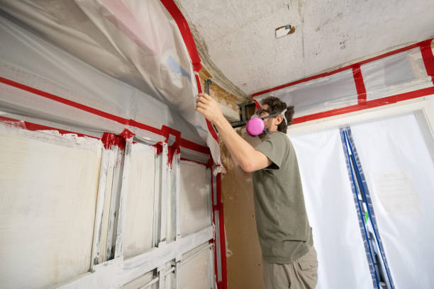 Mold Odor Removal Services in Beverly, OH