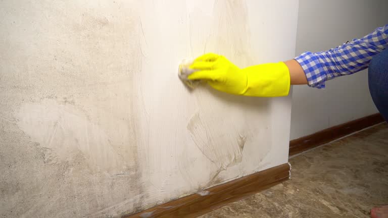 Best Basement Mold Removal  in Beverly, OH