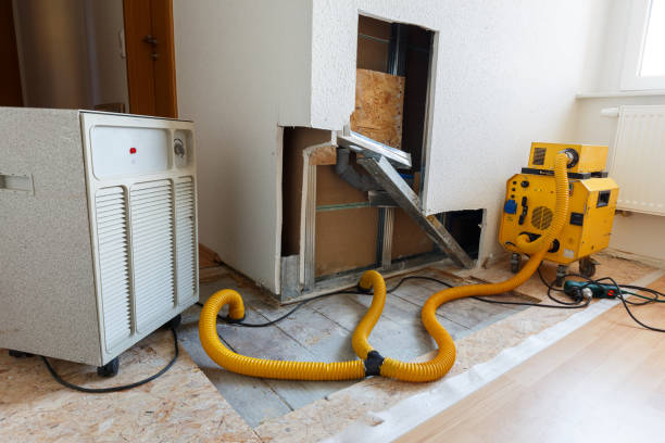 Best Commercial Mold Inspection  in Beverly, OH